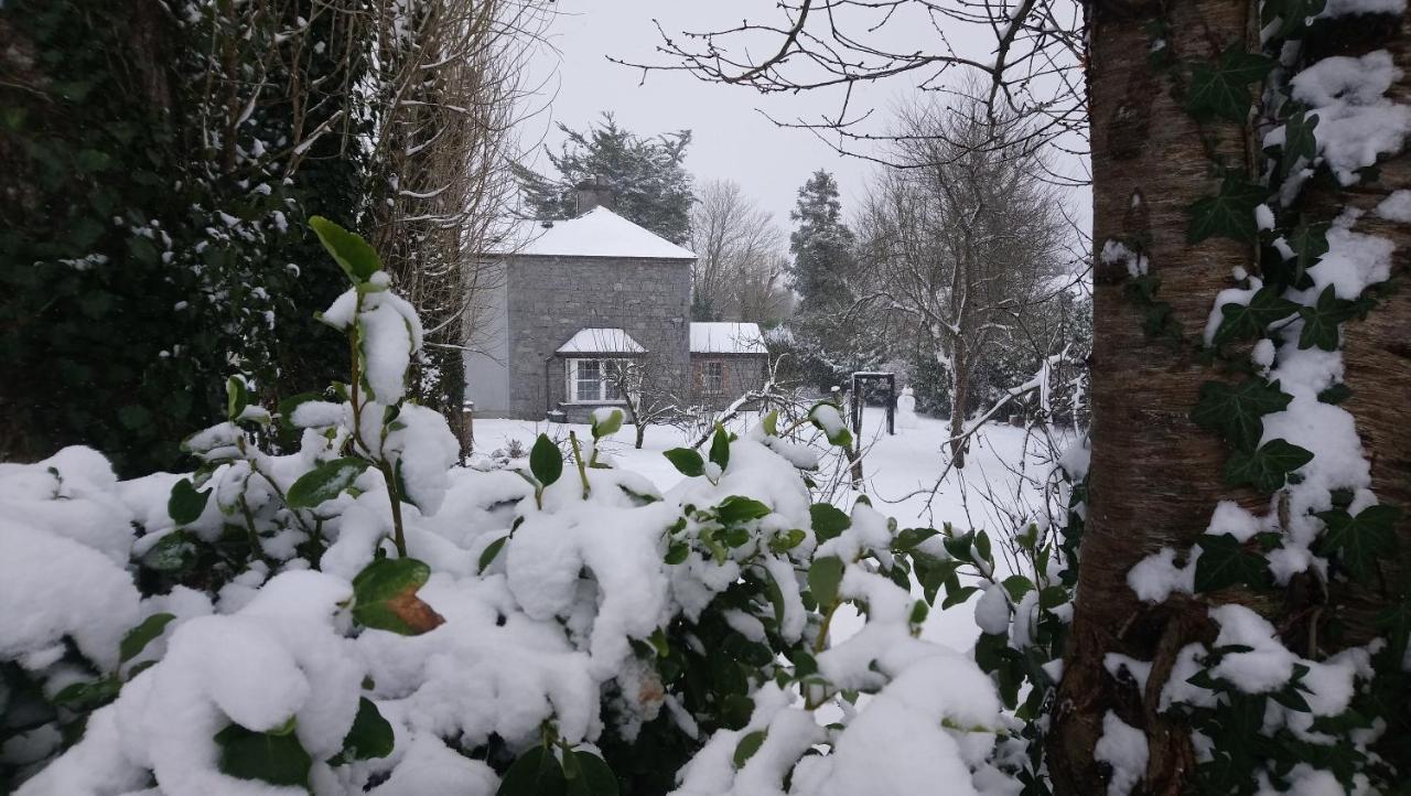 Knockaderry House Bed & Breakfast Ennis Bagian luar foto